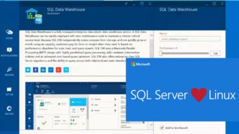 微軟稱(chēng)SQL Server為最成功的Linux服務(wù)器軟件產(chǎn)品